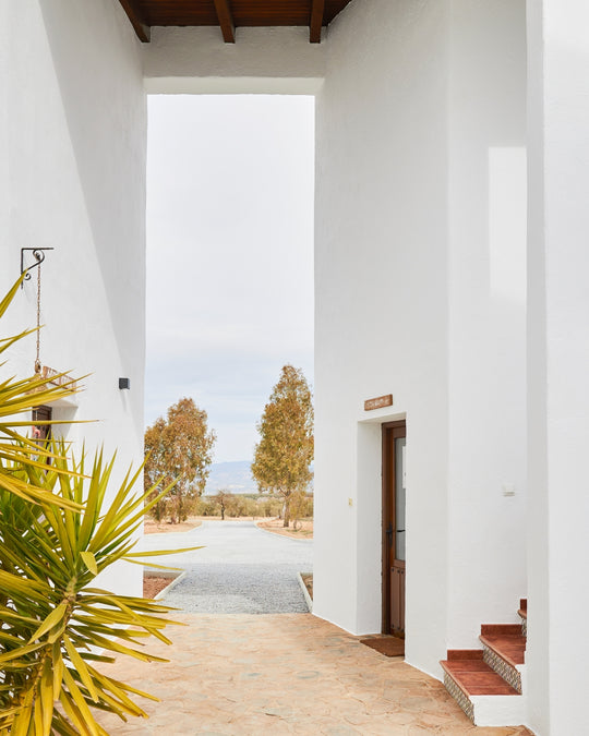 Finca Las Calmas