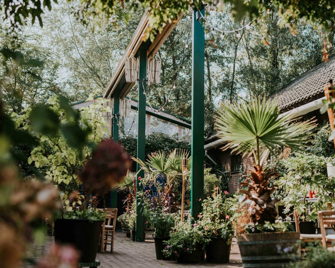 Het Rijk van de Keizer